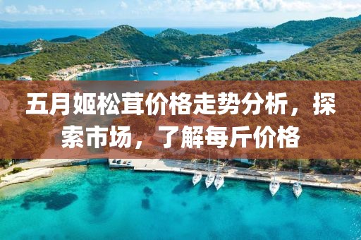 五月姬松茸价格走势分析，探索市场，了解每斤价格