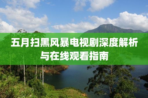 五月扫黑风暴电视剧深度解析与在线观看指南
