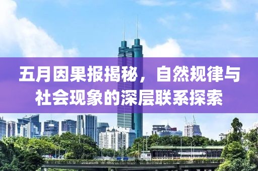 五月因果报揭秘，自然规律与社会现象的深层联系探索