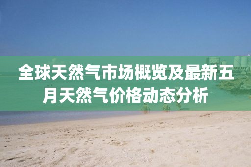全球天然气市场概览及最新五月天然气价格动态分析