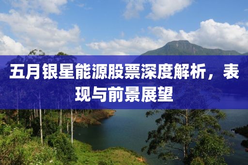 五月银星能源股票深度解析，表现与前景展望