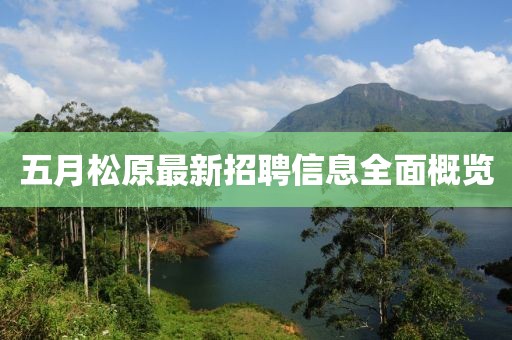 五月松原最新招聘信息全面概览