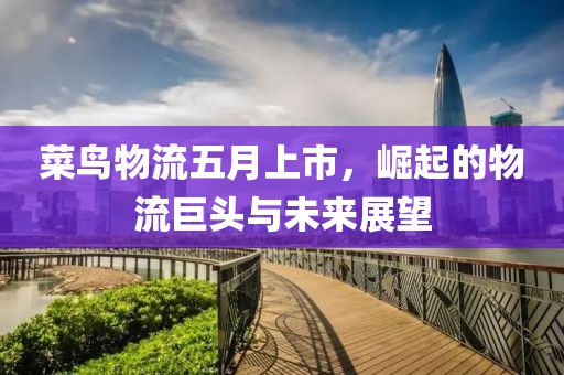 菜鸟物流五月上市，崛起的物流巨头与未来展望