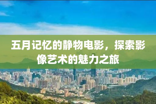 五月记忆的静物电影，探索影像艺术的魅力之旅