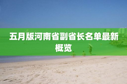 五月版河南省副省长名单最新概览