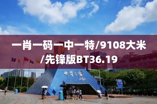一肖一码一中一特/9108大米/先锋版BT36.19