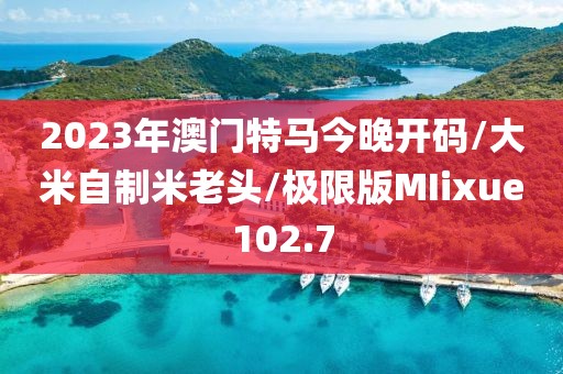 2023年澳门特马今晚开码/大米自制米老头/极限版MIixue102.7
