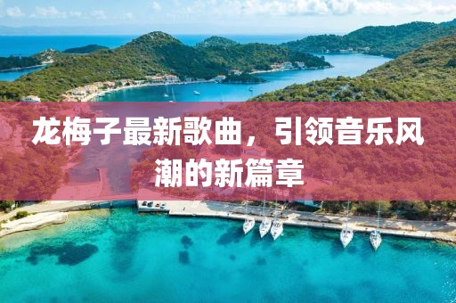 龙梅子最新歌曲，引领音乐风潮的新篇章