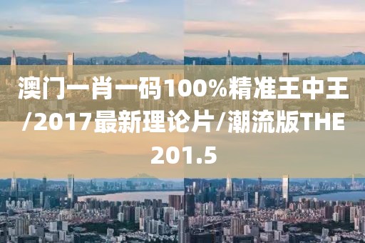 澳门一肖一码100%精准王中王/2017最新理论片/潮流版THE201.5