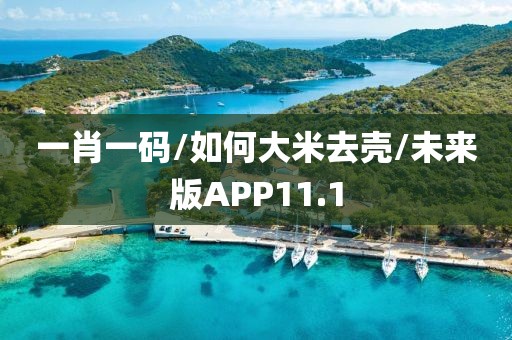 一肖一码/如何大米去壳/未来版APP11.1