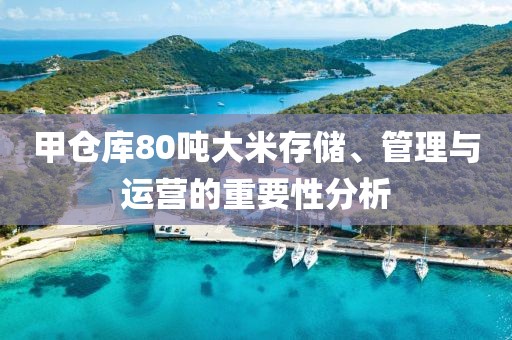 甲仓库80吨大米存储、管理与运营的重要性分析