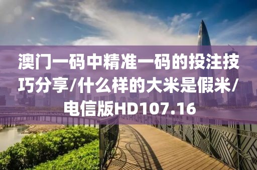 澳门一码中精准一码的投注技巧分享/什么样的大米是假米/电信版HD107.16