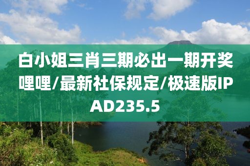 2024年10月 第19页
