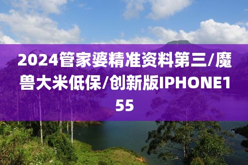 2024管家婆精准资料第三/魔兽大米低保/创新版IPHONE155