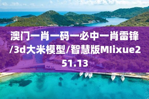 澳门一肖一码一必中一肖雷锋/3d大米模型/智慧版MIixue251.13