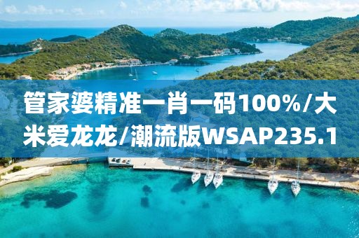 管家婆精准一肖一码100%/大米爱龙龙/潮流版WSAP235.1