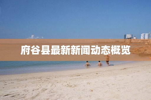 府谷县最新新闻动态概览