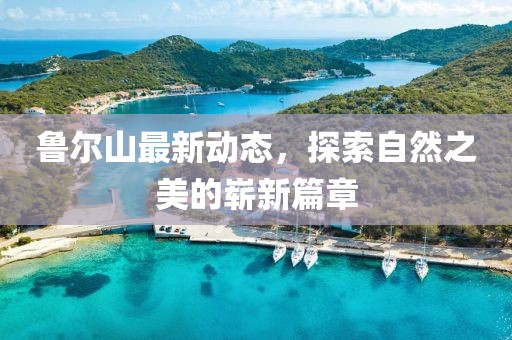 花开无言 第414页