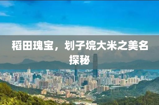稻田瑰宝，划子垸大米之美名探秘