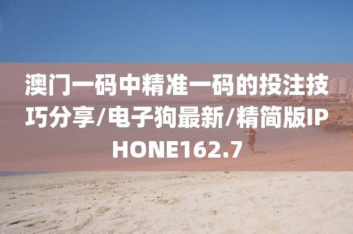 澳门一码中精准一码的投注技巧分享/电子狗最新/精简版IPHONE162.7