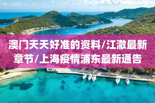 澳门天天好准的资料/江澈最新章节/上海疫情浦东最新通告