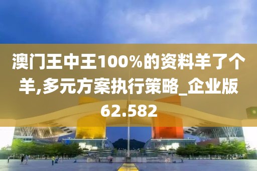 澳门王中王100%的资料羊了个羊,多元方案执行策略_企业版62.582