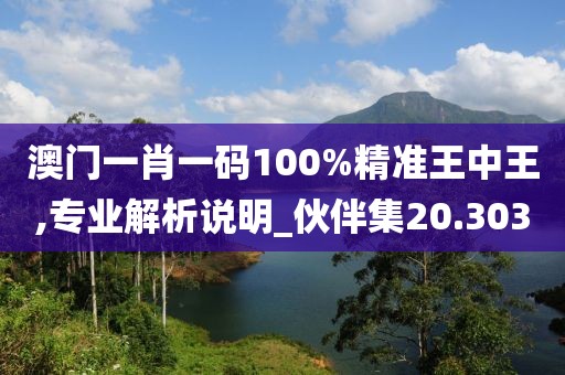 澳门一肖一码100%精准王中王,专业解析说明_伙伴集20.303