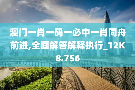 澳门一肖一码一必中一肖同舟前进,全面解答解释执行_12K8.756