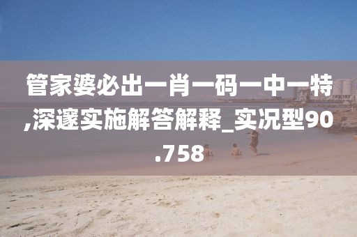 管家婆必出一肖一码一中一特,深邃实施解答解释_实况型90.758