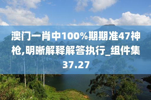 澳门一肖中100%期期准47神枪,明晰解释解答执行_组件集37.27