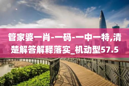 管家婆一肖-一码-一中一特,清楚解答解释落实_机动型57.5