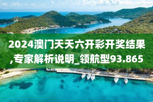 2024澳门天天六开彩开奖结果,专家解析说明_领航型93.865