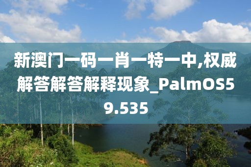新澳门一码一肖一特一中,权威解答解答解释现象_PalmOS59.535