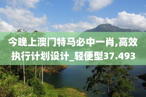 今晚上澳门特马必中一肖,高效执行计划设计_轻便型37.493