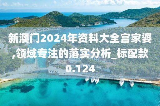新澳门2024年资料大全宫家婆,领域专注的落实分析_标配款0.124