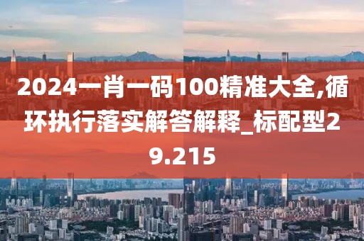 2024一肖一码100精准大全,循环执行落实解答解释_标配型29.215