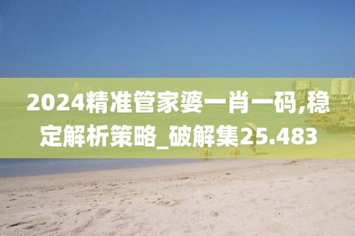 2024精准管家婆一肖一码,稳定解析策略_破解集25.483