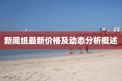 新闻纸最新价格及动态分析概述