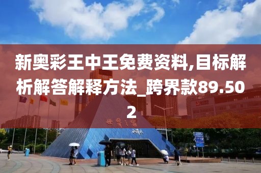 新奥彩王中王免费资料,目标解析解答解释方法_跨界款89.502