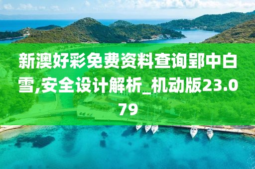 新澳好彩免费资料查询郢中白雪,安全设计解析_机动版23.079
