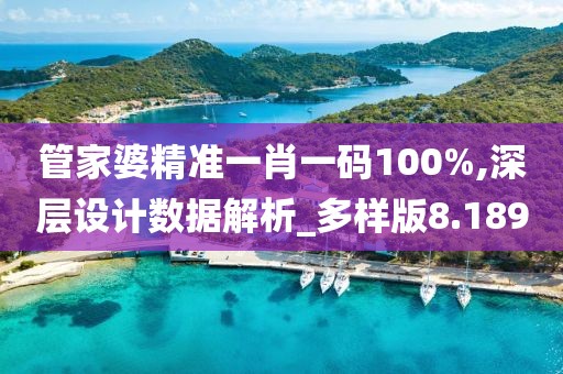 管家婆精准一肖一码100%,深层设计数据解析_多样版8.189