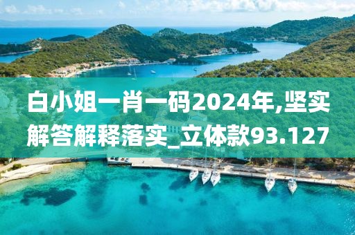 白小姐一肖一码2024年,坚实解答解释落实_立体款93.127