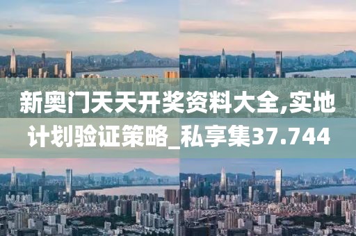 新奥门天天开奖资料大全,实地计划验证策略_私享集37.744