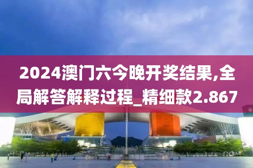 2024澳门六今晚开奖结果,全局解答解释过程_精细款2.867