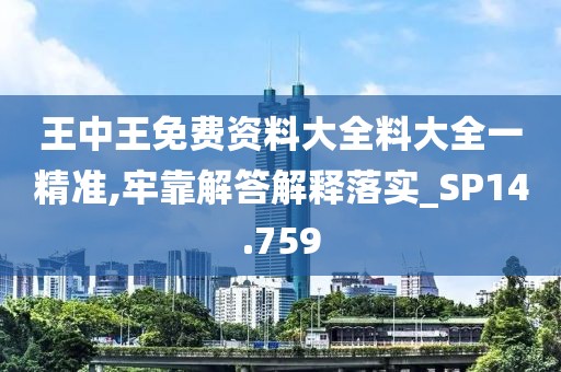 王中王免费资料大全料大全一精准,牢靠解答解释落实_SP14.759