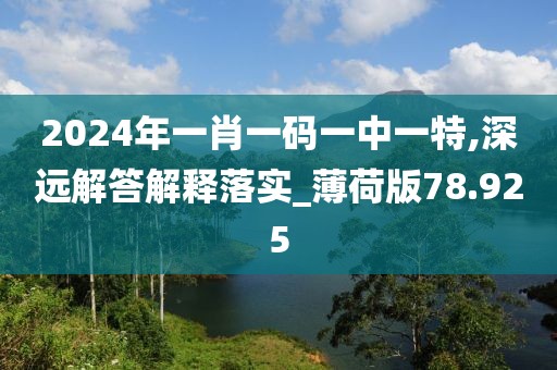 2024年一肖一码一中一特,深远解答解释落实_薄荷版78.925