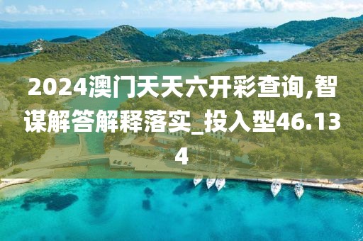 2024澳门天天六开彩查询,智谋解答解释落实_投入型46.134