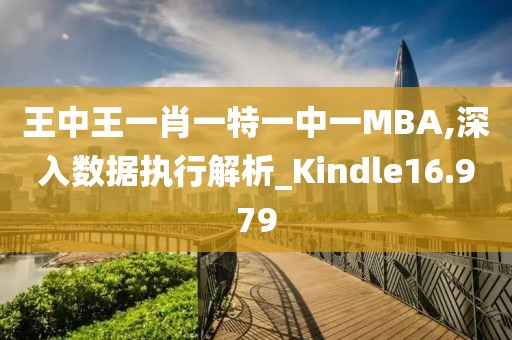 王中王一肖一特一中一MBA,深入数据执行解析_Kindle16.979