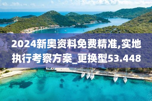 2024新奥资料免费精准,实地执行考察方案_更换型53.448