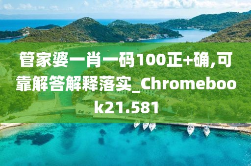 管家婆一肖一码100正+确,可靠解答解释落实_Chromebook21.581